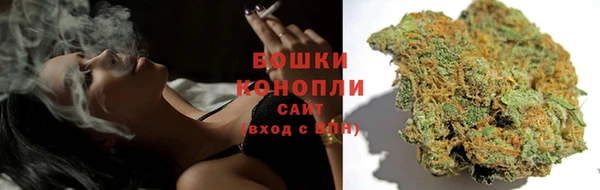 дживик Елизово