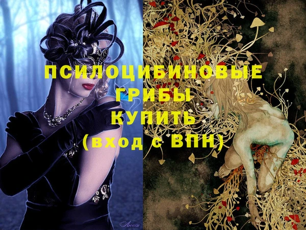 дживик Елизово