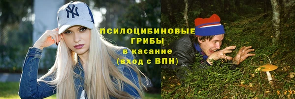 дживик Елизово