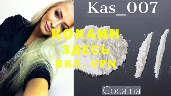 мяу мяу мука Ельня