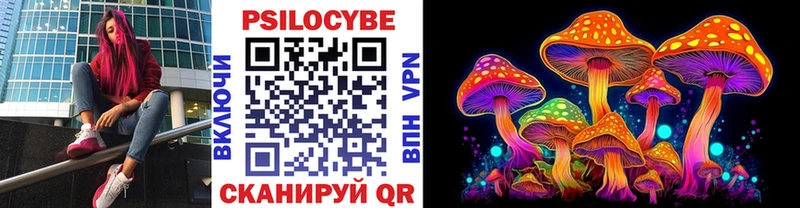 Псилоцибиновые грибы Psilocybe  Купить  Шатура 