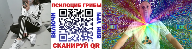 Псилоцибиновые грибы GOLDEN TEACHER Шатура